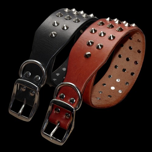 Collare cuoio cane - , borchie