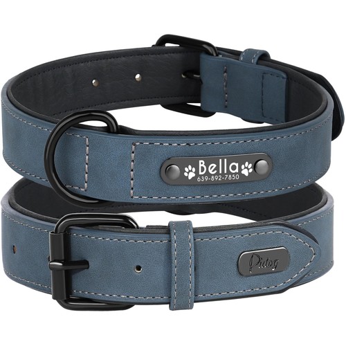 Collare cane pelle imbottita - collare,