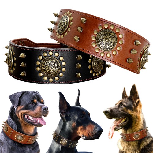 Collare per cane cuoio con - per,