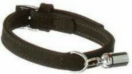 Collare per cane - cane, di