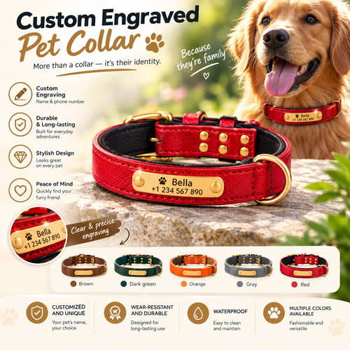 Collare per cani - , pelle