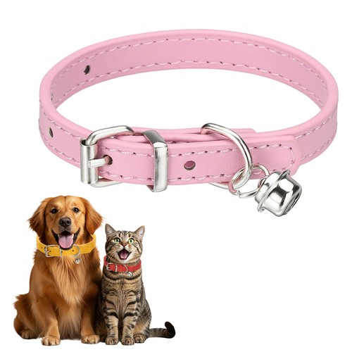 Collare per cane - collare, con