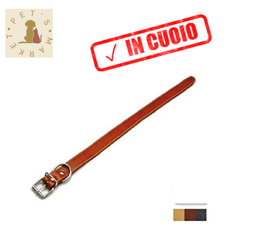 Collare per cane - collare,