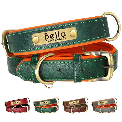 Collare pelle per cane - in,