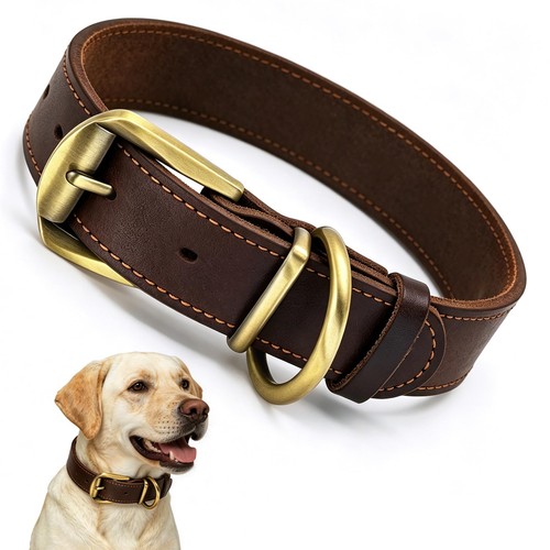 Qianruida collare per - cane, in