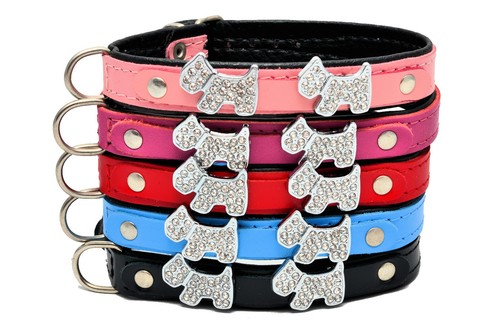 Collare per cane - collare,