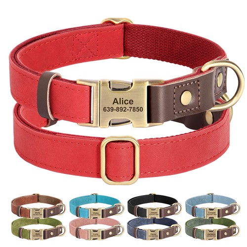 Collare cane personalizzato - collare,