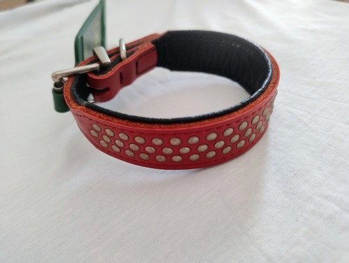 Collare cane hunter colore - collare,