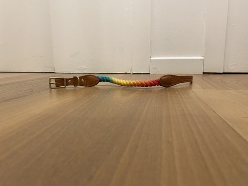 Collare cane pelle - cane, corda